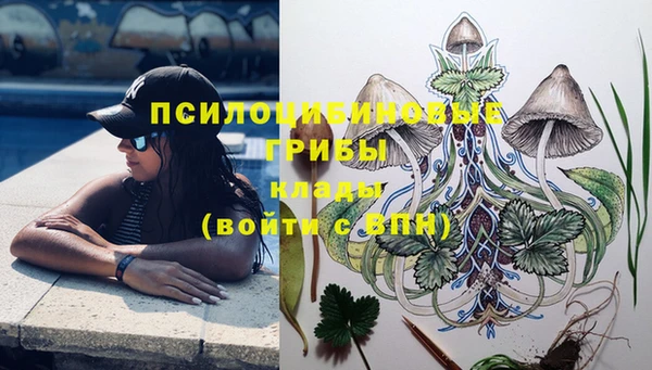 герыч Верхний Тагил